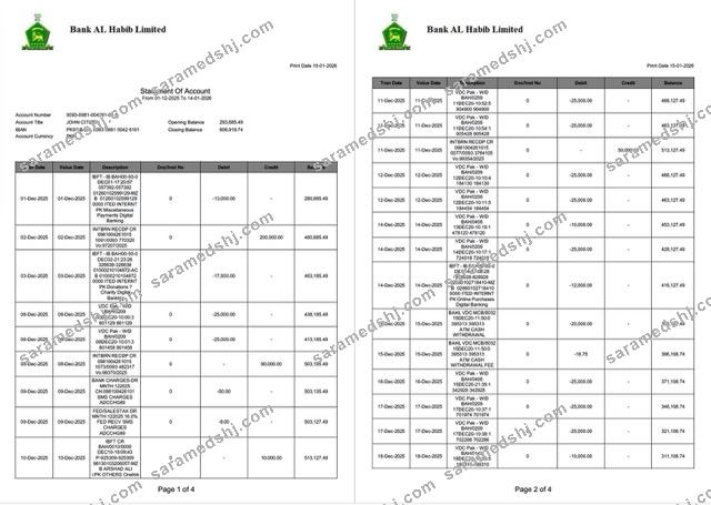 Pakistan Bank Al Habib statement of account Word and PDF template, 4 pages, 1-2 pages